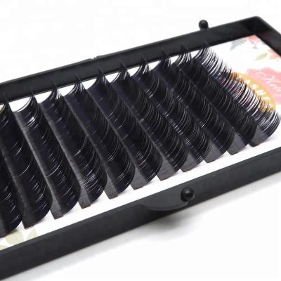 China Korean PBT 0.07 Fiber Eyelash Extensions Premade Fans Volume Lashes Premade Fans J Since C D 5D Russian Volume Lashes Private Label Wholesale for sale