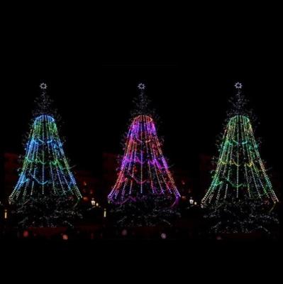 China Outdoor Christmas Lights Programmable RGB Dmx Led Light String LI-DMX3DB-D50-D0401 for sale