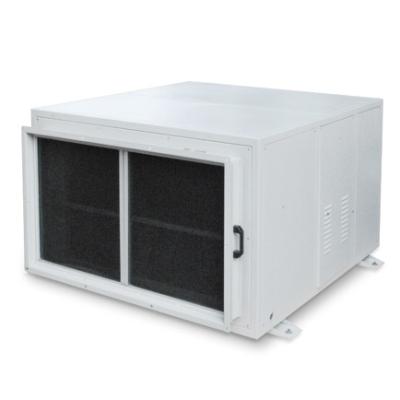 China Hotels YAKE 480L/D Industrial Greenhouse Dehumidifier Ceiling Installation Dehumidifier for sale