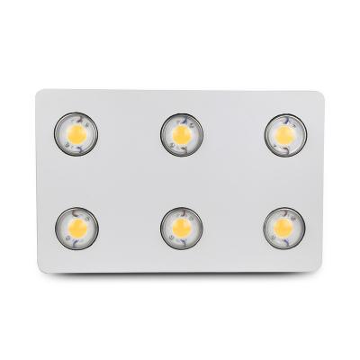 China Seed Starting CFGROW CXB3590 COB LED Grow Full Spectrum Indoor Plant Growth Light Panel Lamp With Dimmable MeanWell Driver for sale