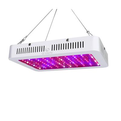 China 1000 Watt Full Spectrum Fruit Plant Greenhouse Flower Growing Lights Led Grow Light With Garland Led Grow Lights Hydroponic Growing Lights for sale