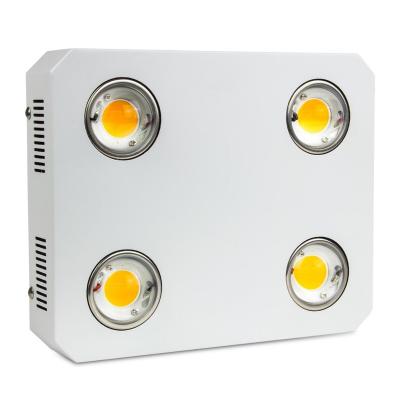 China Seed Starting COB Led Factory Grow Light 600w 3500k CE ROHS Panda Led Grow Light COB for sale