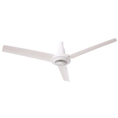 China Cheap Taizhou Cool Home Appliances 3 Siling Modern Ceiling Fans 12v Blade Ceiling Fan for sale