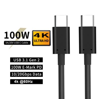 China Type-C 3.1 Dual USB C Power Supply PVC MP3/MP4 Player DataRoad 100W PD Charging 10Gbps 5A Cable for sale