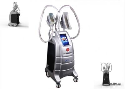 China Stationary Salon Use Professional Cryolipolysis Slimming Machine for Weight Loss Body Shaping for sale