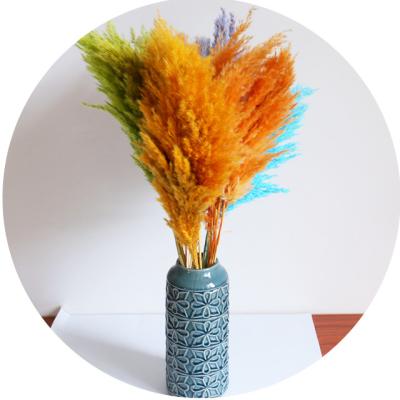 China Colorful Small Webbing Fluffy Dry Pampas Grass Bulk For Home Decorative Wedding Flower Arrangement for sale