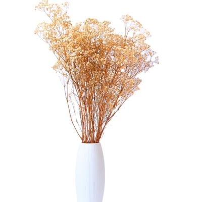 China Home Wholesale Babies Breath Plant Decoration White Dry Flowers Preserved Gypsophila Dry Flower for sale