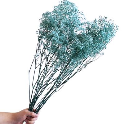 China Wholesale home decoration factory babies breath dried flowers bulk preserv babi's breath gypsophila flower for wedding decoration for sale