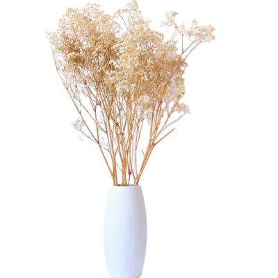 China Home Decoration Wholesale Dried Flowers Preserved Eternal Everlasting Gypsophila Baby Millions Blast Star Wedding for sale