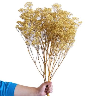 China Wholesale Natural Home Decoration Baby Breath Dried Flowers Preserved Gypsophila For Decorative Flower Arrangement for sale