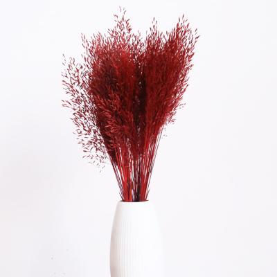 China Can Last For 3-5 Years Natural Red Dried Flowers Small Dried Flower For Wedding Arrangements And Home Decoration for sale