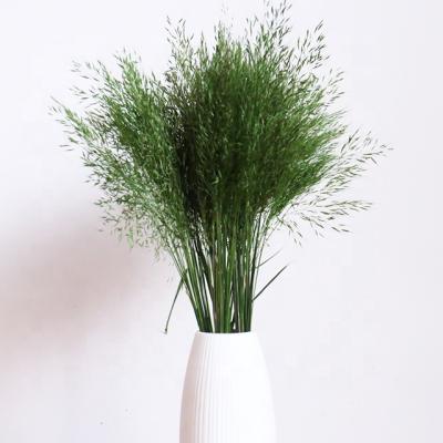 China Can Last For 3-5 Years Yunnan Green Dried Flowers Real Touch Decor Wholesale Flower 45cm Small For Home And Party for sale