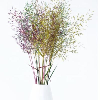 China Can Last For 3-5 Years Natural Red Dried Flowers Small Flower For Wedding Arrangements And Home Decoration for sale