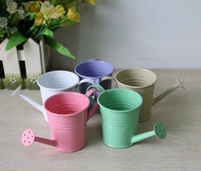 China Not easy to deform small iron home creative leaf flower caring small bucket flower pot Mini Watering Can, galvanized paint iron shower for sale