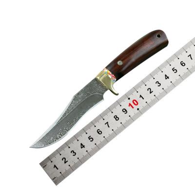 China Damascus EDC Knife Hunting Knife Non-variable Handmade Serving Fixed Blade for sale