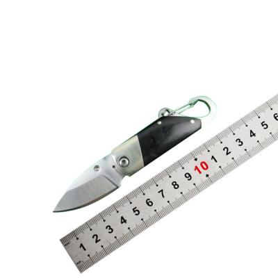 China Easy Carry Easy-carry Mini Folding Knife Outdoor Convenient Outdoor Camping Pocket Knives for sale