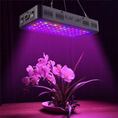 China Hot Selling Hansen New Arrival Double-switch Indoor COB Led To Grow Light 600W For Plants for sale