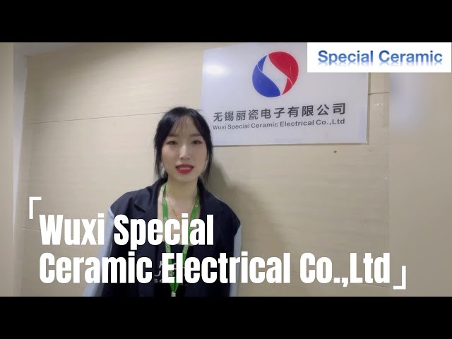 Wuxi Special Ceramic Electrical Co., Ltd. - Ceramic Factory