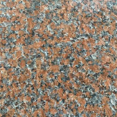 China Mid Century Stepping Modern Traditional Porcelain Stones Red Porino Pavers Interior And Exterior Granite Granite for sale