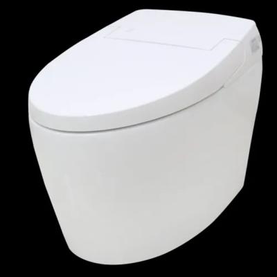 China High Quality Cistern Washroom Sanitary Ware One Piece Concealed Intelligence Smart Toilet for sale