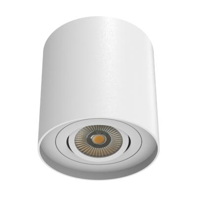 China 2021 Modern New Design Surface Mounted Round Shape LED Downlight With 1 Lamp For Commercial Lighting for sale