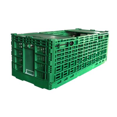 China NEW folding! ! ! Fresh flower collapsible transport use crate 1000*400*340 mm vented foldable ype box for sale