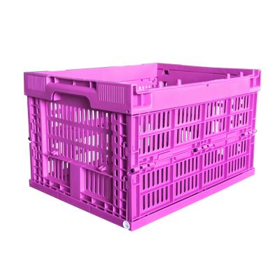 China Farm Use 40x30x24 Cm Collapsible Reusable Mesh Type Plastic Collapsible Crate For Fruit for sale