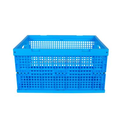 China Sustainable 35L Mesh Style Straight Wall Collapsible Plastic Storage Container And Basket for sale