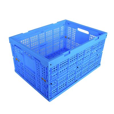 China Eco - Friendly Type Sustainable Collapsible Upright Wall 20kg Plastic Mesh Container for sale