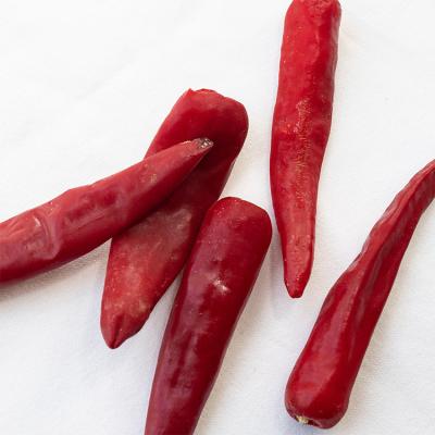 China FROZEN good quality frozen red hot chilli peppers resh as spices and as chilli sauce for sale