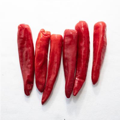 China Fresh Frozen Chilli Chili Pepper Frozen Red New Bulk Culture Spicy High Quality Export FROZEN for sale