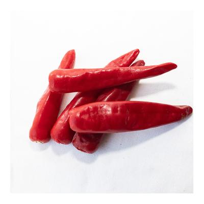 China Bulk Frozen Fresh Chilli Pepper Chilli Pepper Good Price Frozen Pepper With Good Quality for sale