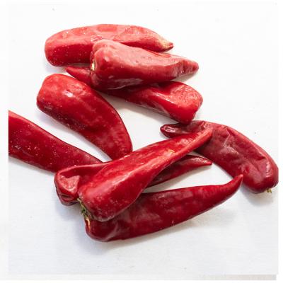 China FROZEN wholesale with good prices low MOQ fresh red fresh red chili peppers directly for sale