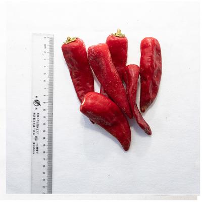 China Good Price JELLY Chilli Frozen Red Chilli Wholesale Fresh Red Chilli Available In Bulk With Good Quality for sale