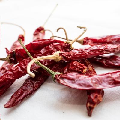 China Wholesale Natural Dried Farm Dry Pepper Steaming Dried Red Chili Pepper for sale