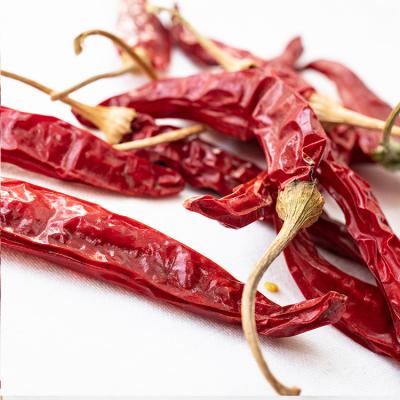 China Factory Supply Dried Hot Dried Red Chilli Peppers Selling Stem Red Dried Chilli Peppers for sale