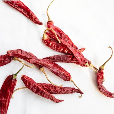 China Factory Price High Quality Dry Chili Pepper Exporter Organic Red Pure Red Chili Lowest Price Paprika for sale