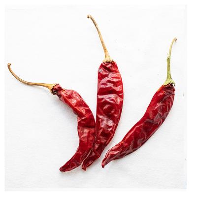 China High quality good price dry hot dry red chillies pepper lowest price paprika for sale