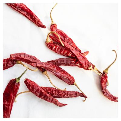 China Steaming Dry Natural Dry Pepper Dried Chili Super Spicy Red Red Chili With Per Ton Price for sale