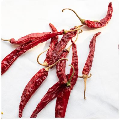 China Dry Farm Dried Pepper Seasoning Natural Hot Dried Sweet Red Pepper for sale