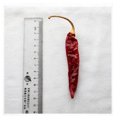 China Dried Wholesale Dried Chilies Dried Sale Red Dried Chilies With Stem Wholesale Price for sale