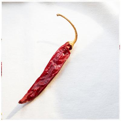 China 100% Pure Dried Nature Price Wholesale Dried Red Chili Chaotian Pepper Selling Red Dried Pepper for sale