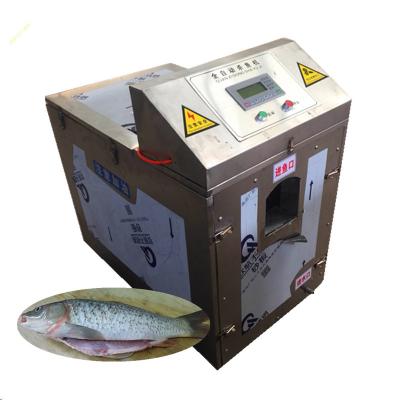 China 0.4-4kg Fish EXW Price Sea Bass Killer Gutter Machine Tangerine Fish Killing Machine for sale