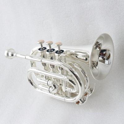 China Factory Price Professional Cheap Bb Key Pocket Silver Plated Silver Plated Trumpet for sale