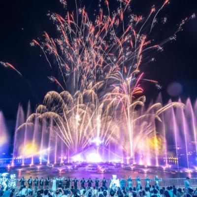 China Customization And One Stop Service Cheap Customized Decorative Floating Music Dancing Fountain For Water Park for sale