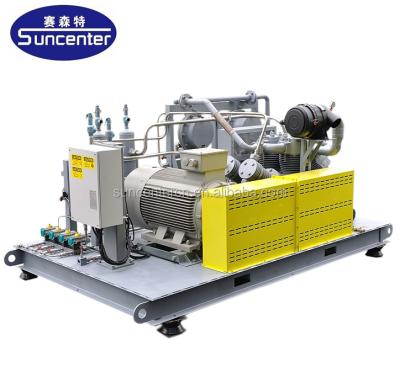 Cina Suncenter Argon / Helium / Nitrogen / CH4 Gas Compressor Oil Free With 50 Mpa Max Pressure in vendita