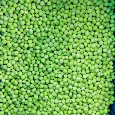 China Healthy Food factory direct sales frozen green peas wholesale and export of frozen green peas for sale