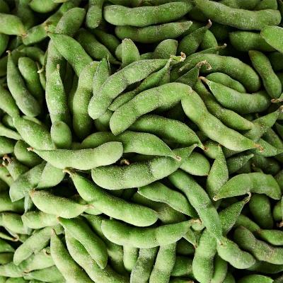 China Healthy Food factory direct sales frozen edamame beans in pods wholesale and export of frozen edamame beans in pods for sale