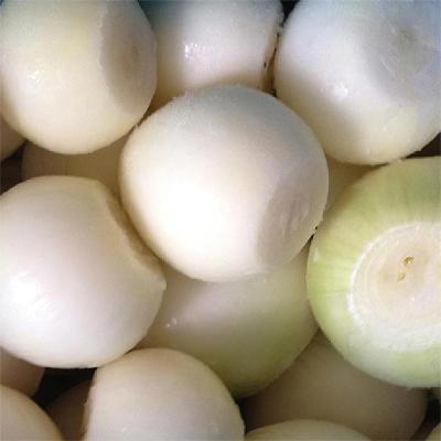 China Healthy Food factory direct sales frozen onion balls wholesale and export of frozen onion balls for sale