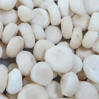 China Healthy Food factory direct sales frozen water chestnuts wholesale and export of frozen water chestnuts for sale